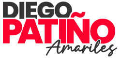 Diego Patino – Logo